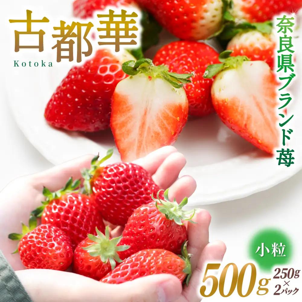 ブランド苺 新鮮 古都華 (小粒) 約500g [250g×2パック] 【2027年1月上旬～5月下旬に順次発送】／ スマイル葛城農業 ブランド いちご 苺 ことか イチゴ スイーツ フルーツ 甘い 果物 奈良県 葛城市【smlk006】