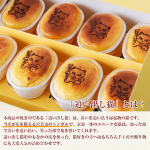 Ｍ600〈瀬川菓子舗〉追い出しチーズ10個入 母の日 プレゼント ギフト お菓子 スイーツ 和菓子 食べ物 食事 花とスイーツ
