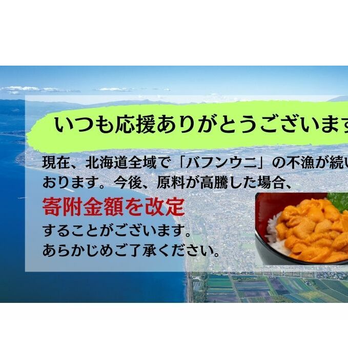 北海道 噴火湾産 塩水 バフンウニ 100g 3パック 計300g うに ウニ 雲丹 海鮮 海の幸 魚介類 ウニ丼 お寿司 濃厚 無添加 産地直送 お取り寄せ 山村水産 送料無料_イメージ2