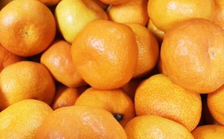 熊本県産ハウス蜜柑 約2キロ前後 果物 フルーツ みかん 蜜柑 ミカン ハウスみかん 約2kg前後 常温 熊本県産  【2026年7月上旬発送開始】