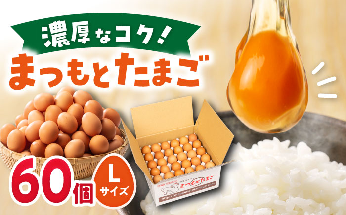まつもとたまご Lサイズ 赤玉 60個 長崎県産 西海市 たまご 卵 玉子 タマゴ 鶏卵 オムレツ 卵かけご飯 朝食 料理 人気 卵焼き ＜松本養鶏場＞[CCD005]