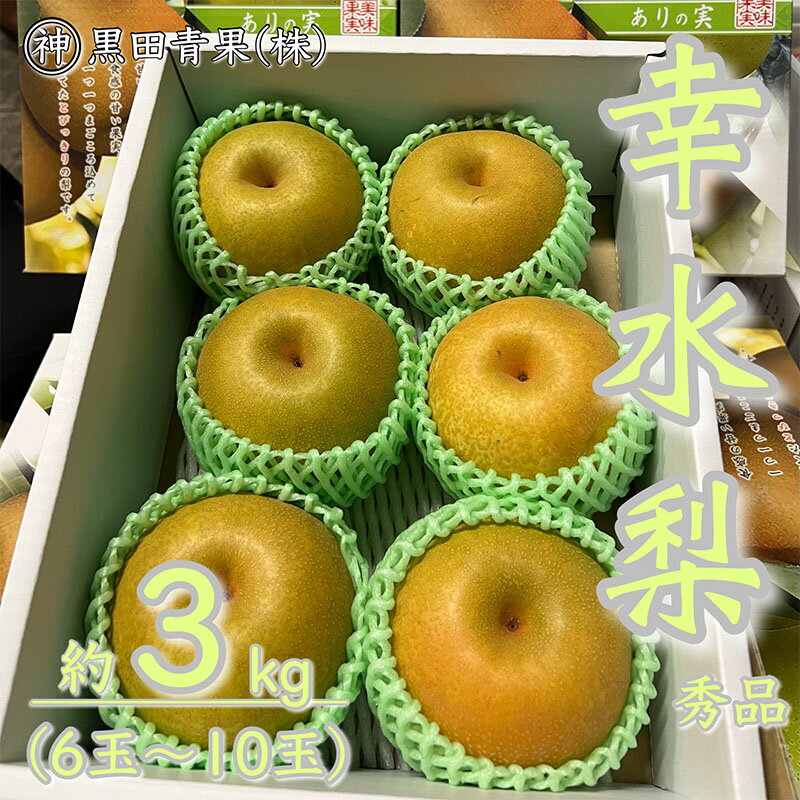 【ふるさと納税】山形県産 幸水 梨 秀品 約3kg(6〜10玉) 【令和7年産先行予約】FU23-442 くだもの 果物 フルーツ 山形 山形県 山形市 2025年産