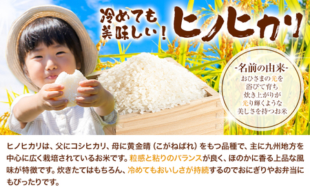 つるたファームの極ヒノヒカリ 5kg お米 ご飯 米 白米 【2025年11月上旬より発送開始予定】st-p