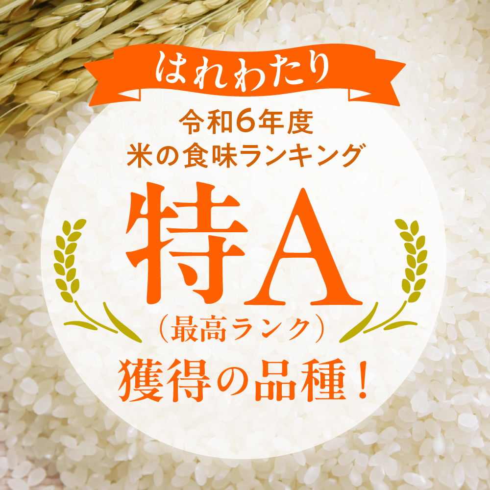 【1月発送】乾式 無洗米 10kg はれわたり 令和7年産米 ( 精米 ) 特a米 特a 青森県産 米 乾式無洗米 ハレワタリ お米 こめ 10キロ ギフト ごはん 五所川原 晴れわたり