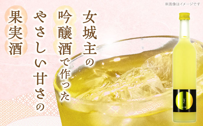 女城主 柚子酒 500ml / 日本酒 お酒 地酒 清酒 果実酒 / 恵那市 / 岩村醸造 [AUAK010]