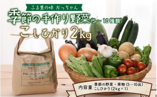 季節の野菜5～10種類と令和6年産 コシヒカリ2kg [A-020011]
