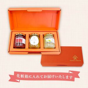 ジャム 詰め合わせ 3種  全3回 定期便 ジャム