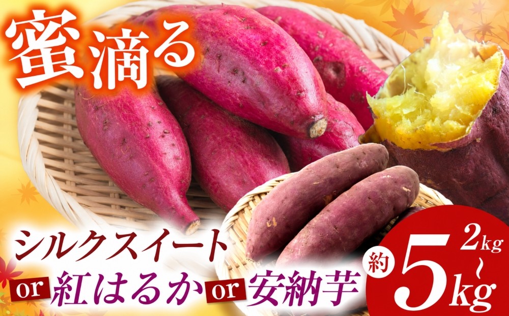 
                  【先行予約】 蜜滴る さつまいも ( 紅はるか / シルクスイート / 安納芋 )（栽培期間中は農薬・化学肥料不使用）選べる内容量  2kg / 4kg / 5kg | 紅はるか シルクスイート さつまいも 化学肥料不使用 蜜たっぷり 甘いさつまいも 自然栽培 山の恵み ぽりっぽファーム 奈良県 御杖村
                