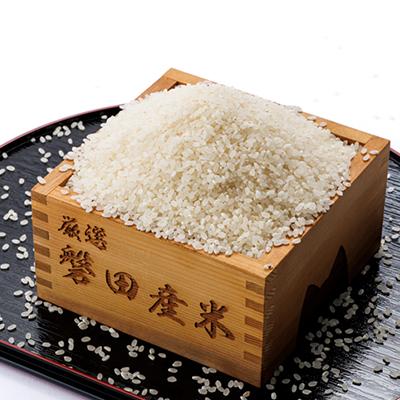 ふるさと納税 磐田市 お米(精米)　5kg　磐田市産　磐田市の陽の光、豊かな水源から実った美味しいお米 |  | 01