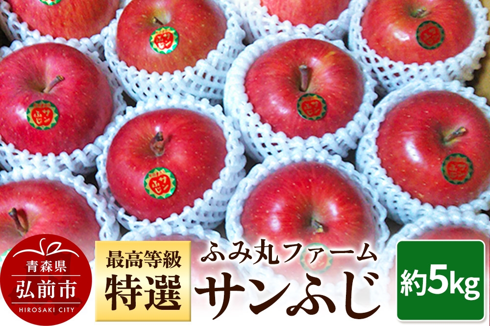 
            りんご ふみ丸ファーム 最高等級「特選」 サンふじ 約5kg
          
