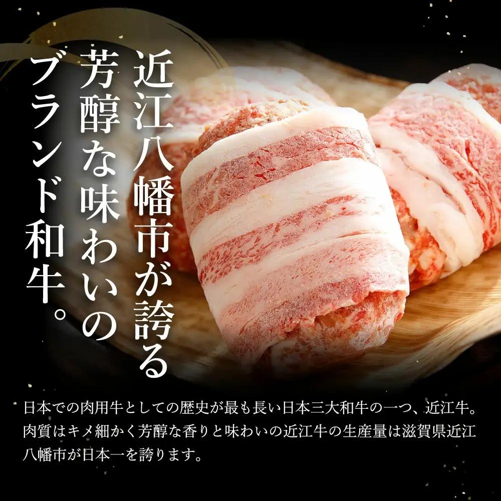 ハンバーグ 近江牛 プレミアム 750g (約 150g × 5個 ) ブランド 牛肉 黒毛和牛 【Y095W】