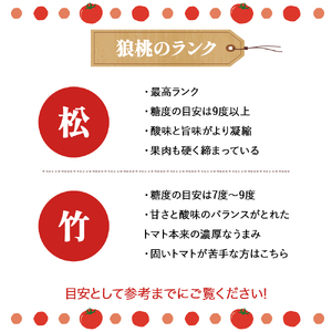【先行予約／2025年2月下旬から発送】四万十育ち「狼桃」 糖度7度以上　竹タイプ（18～24個入）小箱 Fdf-07　／フルーツトマト しまんと 高知 贈答 ギフト プレゼント 贈り物 お取り寄せ 