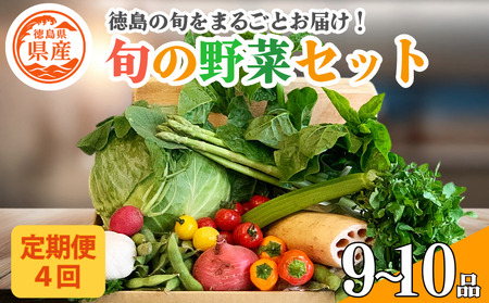 野菜 セット 9～10品 定期便 4回 季節 旬 野菜 詰め合せ 国産 おまかせ 産地直送 