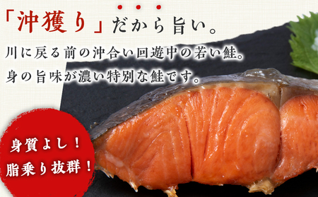 沖捕り紅鮭切身(3切×6パック)と沖捕り辛塩紅鮭切身（3切×6パック）食べ比べセット AQ055