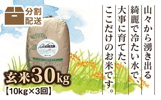 
            C095 しのめ清流米　玄米30㎏【3回分割配送】
          