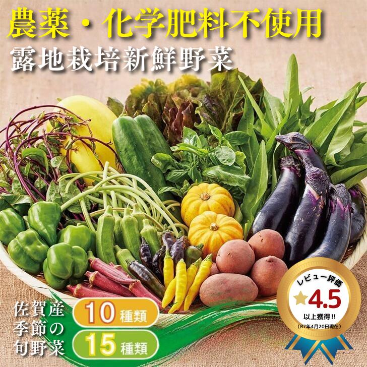 【ふるさと納税】佐賀産季節の旬野菜 選べる10or15種類（農薬・化学肥料不使用）：B120-036