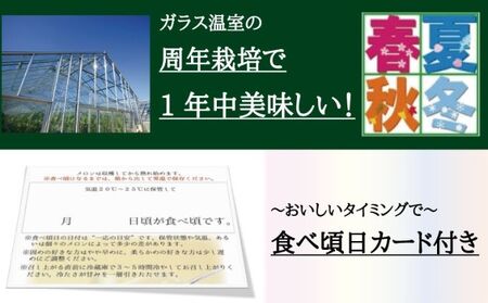 メロン 規格外特大玉 2玉入 毎月お届け12ヶ月定期便 メロン