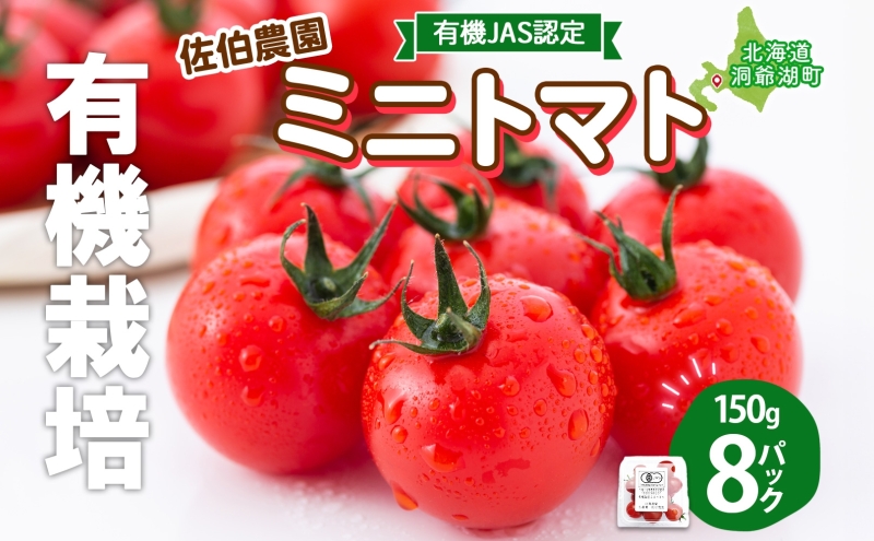  北海道 有機JAS認定 ミニトマト みわた 150g×8パック 先行予約 2025年 7月中旬～9月上旬頃にお届け 先行受付 有機栽培 新鮮 旬 野菜 安心 安全 濃厚 トマト 産地直送 農家直送 