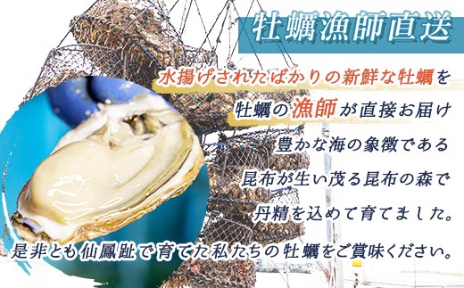 【先行予約】仙鳳趾名産 牡蠣 100～149g×40個+かきナイフ付K4-2【配送不可地域：離島・沖縄県・信越、北陸・東海・近畿・中国・四国・九州】
