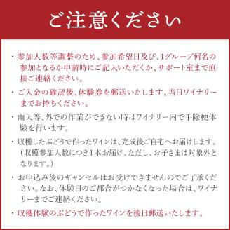 【2024/10/12または10/13】ボスアグリワイナリーぶどう収穫体験 ( ぶどう 収穫 体験 チケット 券 収穫体験 北見市 ワイナリー 北海道 ワイン )【075-0001-2024】