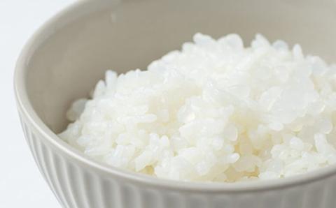 ライスコンニャク　24袋セット