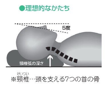 （エアウィーヴ グループ）ロフテー「快眠枕　エラスティックパイプ」サイズ１号（96-5）