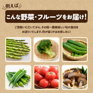 野菜セット 「産直メロス」【2025年9月発送】 旬の野菜詰め合わせ 野菜 詰合せ セット詰め合わせ 国産 旬 おまかせ お楽しみ 直送 詰合 青森 五所川原 6～8品