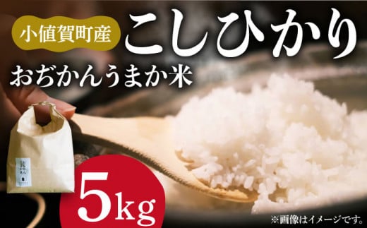 【5kg】【令和6年度産新米】おぢかんうまか米（小値賀町産こしひかり 5kg ・精白米） [DAB014] コシヒカリ こしひかり 米 お米 白米 ご飯 精米 お弁当  常温