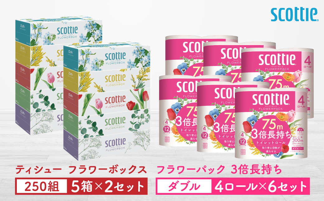 【スコッティ】ティシュー フラワーボックス 250組（5箱パック×2セット）＋フラワーパック 3倍長持ち（4ロール(ダブル)パックx6セット）ティッシュ トイレットペーパー 日用品