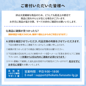 ハイチック 清里のたまご 160個（破卵保証10個含む） [h081]