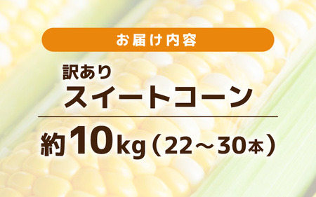 【先行予約】【訳あり】農場直送 鮮度抜群 スイートコーン( とうもろこし ) 約10kg（22本～30本) 【2026年7月上旬より順次発送予定】【お楽しみ バーベキュー 冷凍保存可能 焼肉 おやつ 