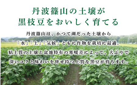 【早期予約/2026年10月発送】丹波篠山黒枝豆 1.6kg(400gx4袋) 黒枝豆 小分け CD102