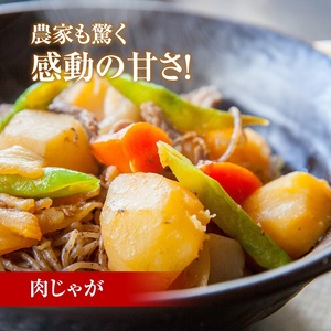 北海道産 熟成じゃがいも メークイン 4kg  期間限定 雪室貯蔵 十勝産 ジャガイモ じゃが芋 いも 甘い