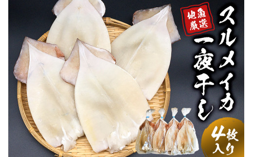 地魚厳選 スルメイカ一夜干 mi0022-0006