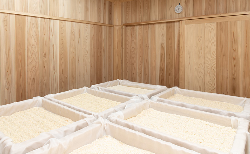味噌セット 銘醸セット 味噌 500g せんべい 3枚 セット 詰め