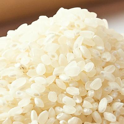 ふるさと納税 砺波市 【令和6年産】となみ野米こしひかり10kg |  | 02