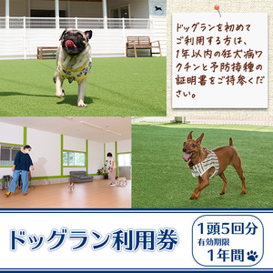メール便でお届け！ドッグラン利用券(1頭5回分) 犬 ワンちゃん ペット チケット 体験 レジャー 自然 屋内 屋内 ラン 川遊び ポスト投函 大分県 佐伯市【HI002】【ドッグラン＆カフェblue