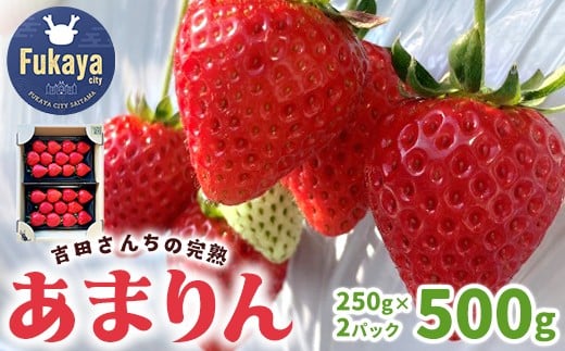 
            〈先行受付〉吉田さんちの完熟苺「あまりん」　500g　【11218-0846】
          