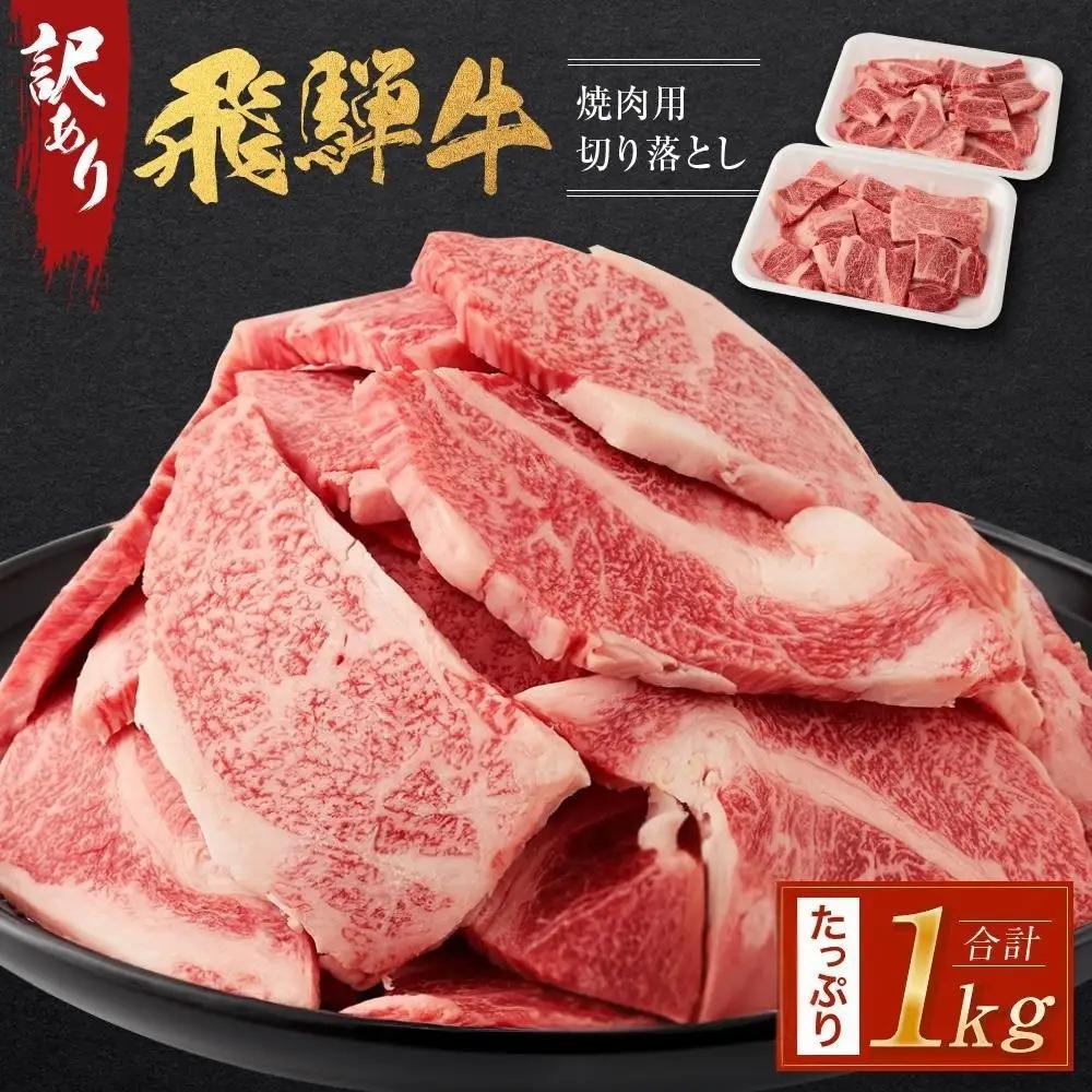 【7月配送】訳あり 飛騨牛焼肉用切り落とし たっぷり1kg （不揃い・大容量）| 訳あり BV027VC07