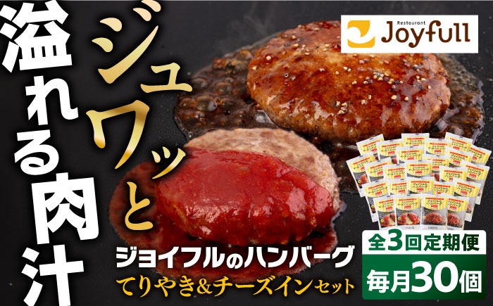 【全3回定期便】ジョイフル ハンバーグ スペシャル 詰め合わせ 2種 30個 セット《築上町》【株式会社　ジョイフル】[ABAA078]