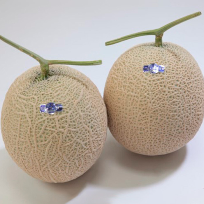 山形産 アールスメロン 秀 2玉(3kg) 【令和6年産先行予約】FU2