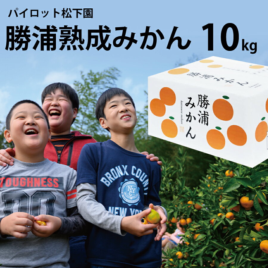 【ふるさと納税】パイロット松下園 勝浦熟成みかん S-Lサイズ 秀品 10kg