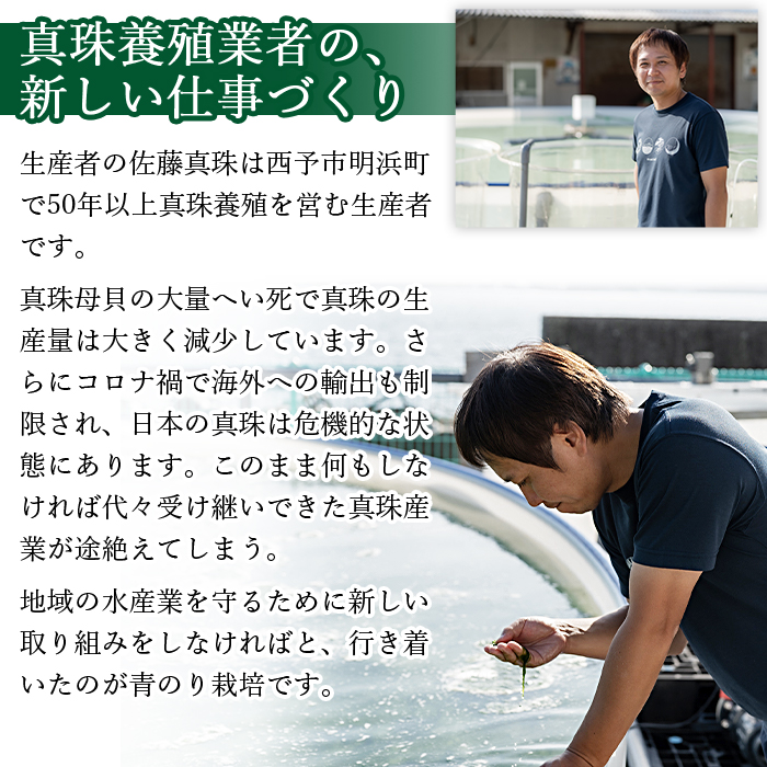 ＜【2回定期便】打ち抜き海水で育てた「すじ青のり」（粉末3g×2パック）＞ 甲殻類アレルギーフリー 色づけ 香りづけ お好み焼き たこ焼き 焼きそば おはぎ ピザ お吸い物 茶碗蒸し 佐藤真珠 愛媛県