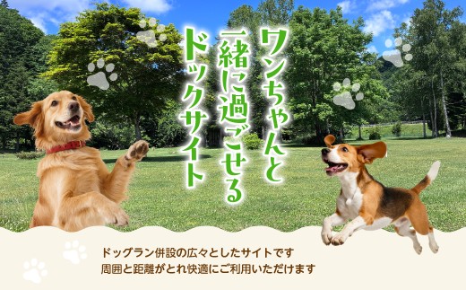 穂別キャンプ場 利用券 選べる利用金額 5,000円 【ふるさと納税 人気 おすすめ ランキング人 キャンプ BBQ 利用券 大自然 アウトドア テント オートサイト バンガロー 宿泊 体験 川遊び 