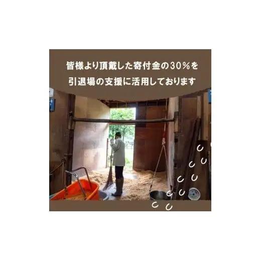 【 支援 】 支援引退馬 100万 