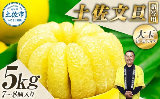 【先行予約】【果樹園直送】土佐文旦 特選品贈答用 約5kg 3L～4Lサイズ 7～8個入り〈2027年2月中旬～3月中旬頃発送〉大玉 ぶんたん ブンタン フルーツ 柑橘 みかん 果物 くだもの 柑橘類 高知県 土佐市【白木果樹園】 [BQAI001]