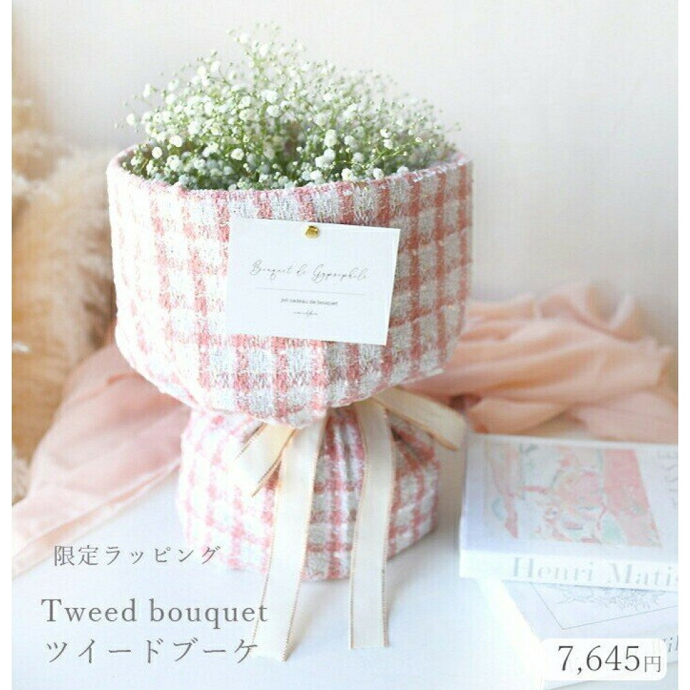 【ふるさと納税】かすみそう「ツイードブーケ」 かすみ草 カスミソウ 花束(小さいサイズ) 花 誕生日 成人式 卒業祝い 初節句 ひな祭り バレンタイン お返し 結婚 ウエディング 送別 プレゼント ギフト 結婚祝い 花束 生花 送料無料 退職祝い お母さん 記念日