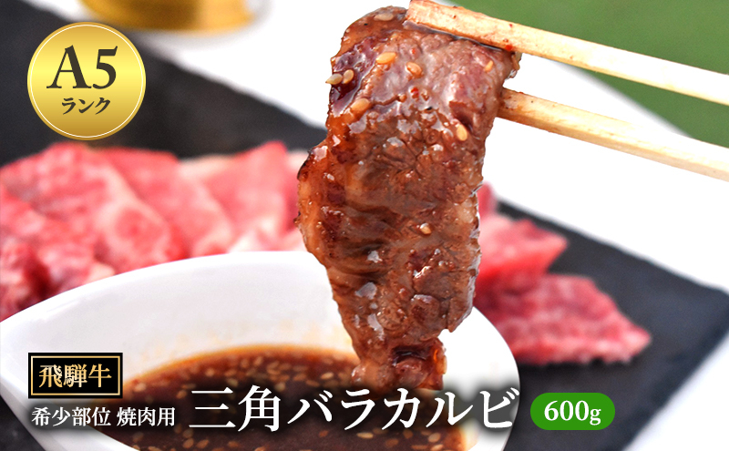
            飛騨牛 三角バラカルビ 焼肉 600g A5 希少部位 和牛 牛肉 お肉 カルビ 焼肉用｜飛騨 飛騨高山 肉 バラ肉 カルビ 牛 牛肉 ブランド牛 おかず 料理 夜ご飯 晩ご飯 焼き肉 人気 ギフト 贈り物 お中元 お歳暮 お取り寄せ  【岐阜県瑞穂市】
          