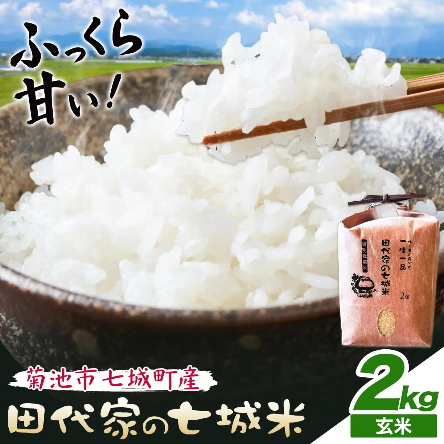 令和7年産 菊池市七城町産 田代家の七城米 七城ヒノヒカリ玄米 2kg 田代こめや《30日以内に出荷予定(土日祝除く)》熊本県 菊池市 米 お米 精米 ひのひかり 菊池市産 熊本県産 九州産 送料無料