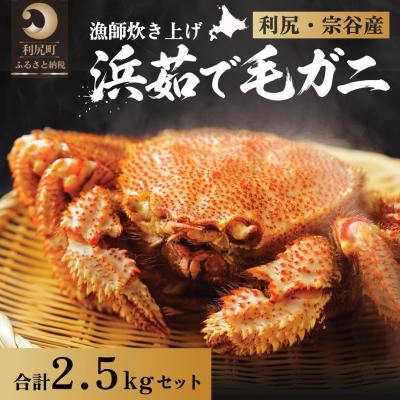 ふるさと納税 利尻町 【2026年先行受付】利尻・宗谷産 浜茹で毛ガニ 合計約2.5kg(チルド配送)[1060053]